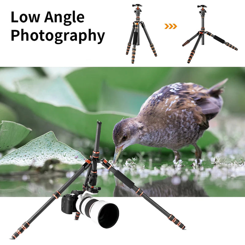 Carbon Fiber Camera Tripod for DSLR - Lightweight Travel Tripod with with 360° Panorama Ball Head